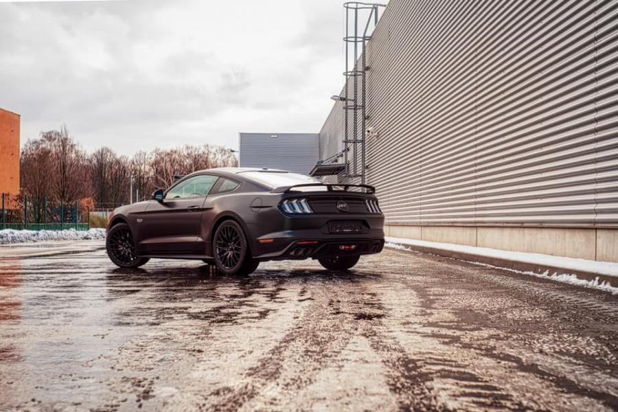  Ford Mustang GT by WrapStyle 2019 года  (фото 7 из 7)
